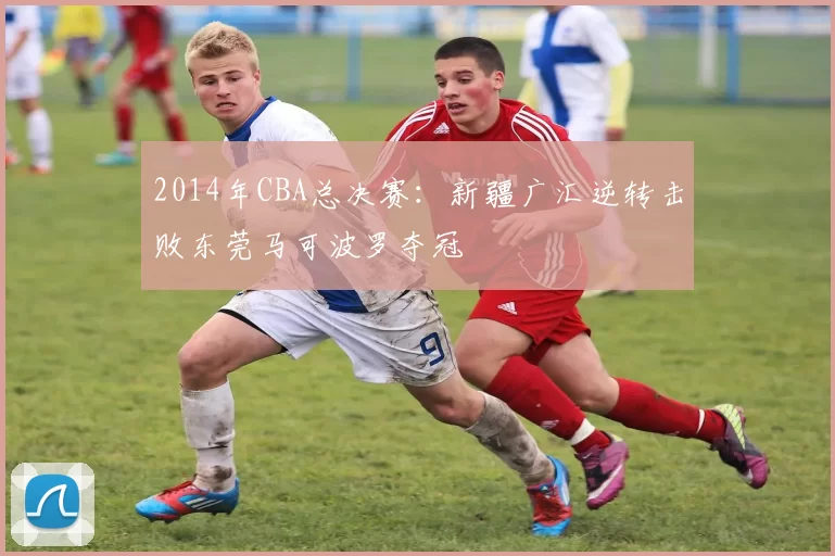 2014年CBA总决赛：新疆广汇逆转击败东莞马可波罗夺冠