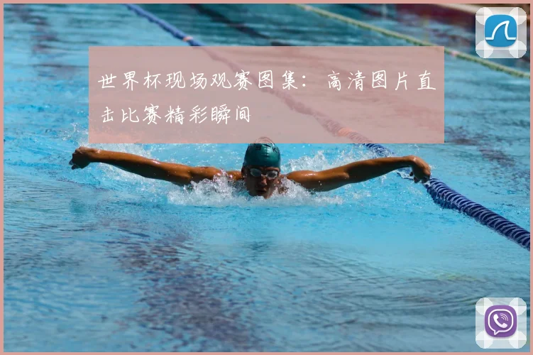 世界杯现场观赛图集:高清图片直击比赛精彩瞬间
