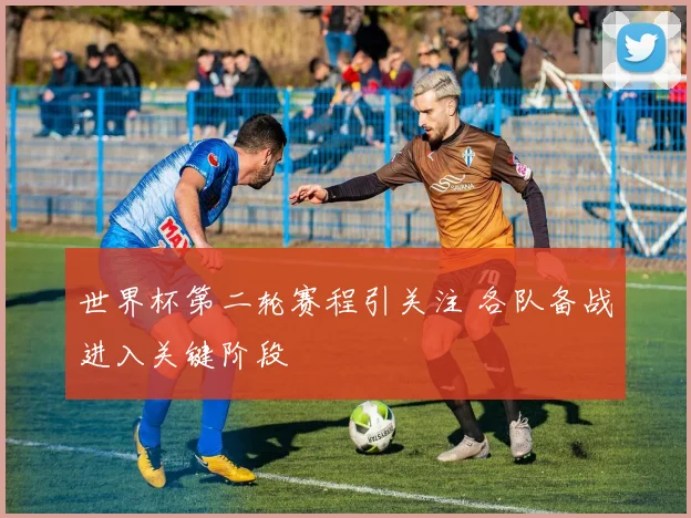 世界杯第二轮赛程引关注 各队备战进入关键阶段